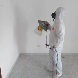 Desinfecciones-1.jpg